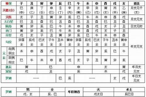 甲木乙木丙火丁火怎麼算|甲木、乙木、丙火、丁火、戊土、己土、庚金、辛金、壬水、癸水